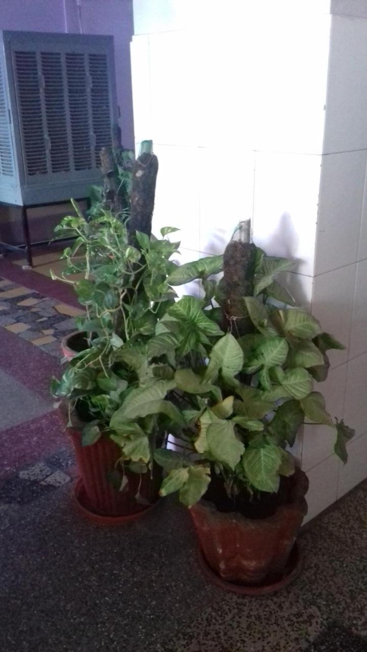ג'ודפור Arun Hotel מראה חיצוני תמונה