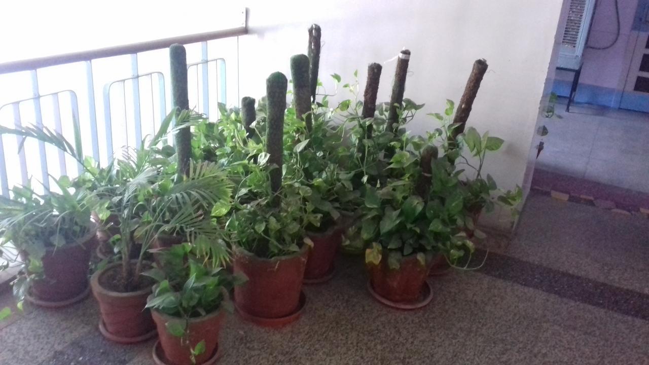 ג'ודפור Arun Hotel מראה חיצוני תמונה