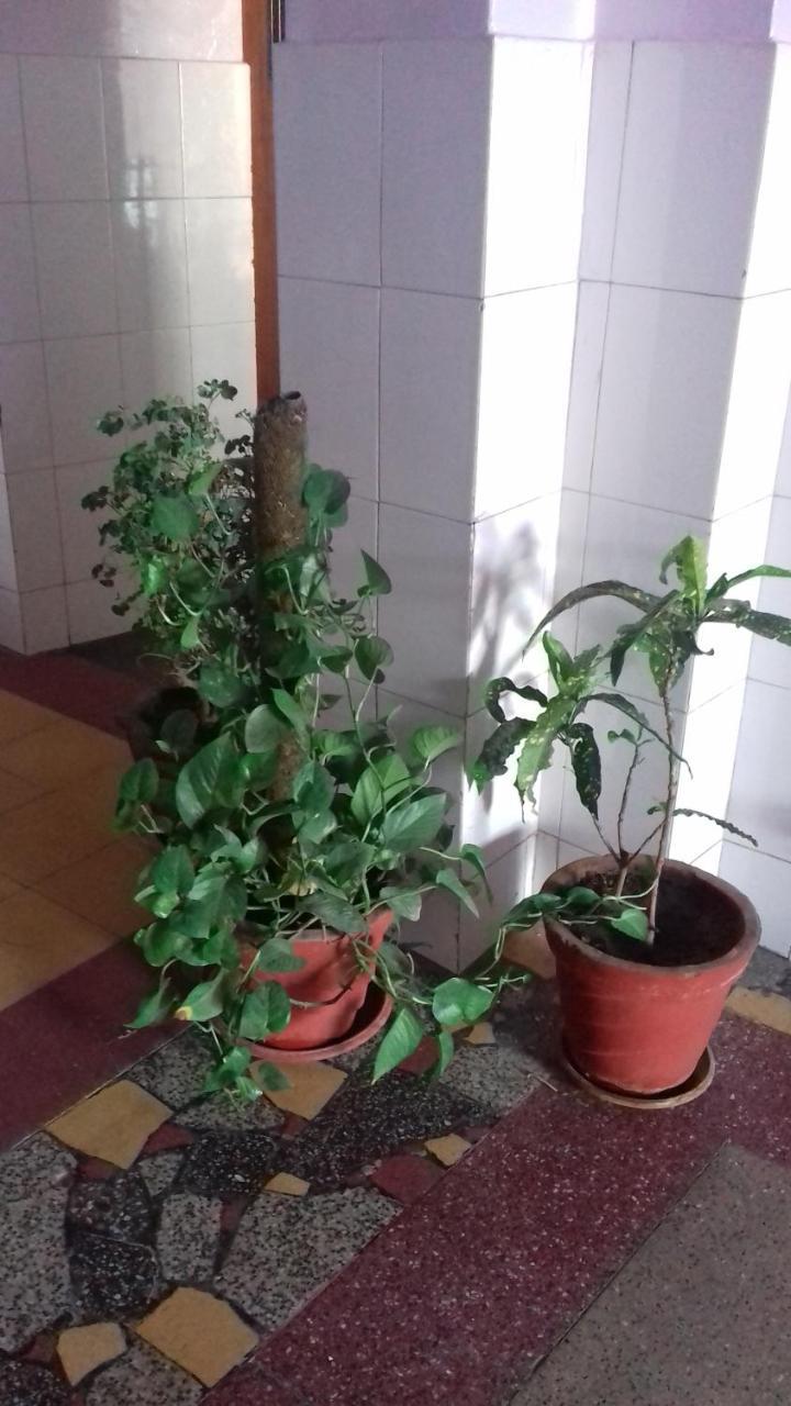 ג'ודפור Arun Hotel מראה חיצוני תמונה